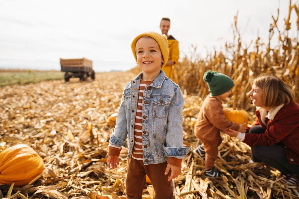 Herbstkleidung Kinder. Junge am Maisfeld.